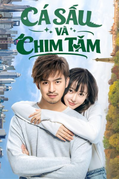 Cá Sấu Và Chim Tăm